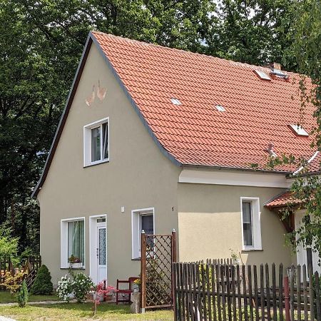 Helenes Ferienwohnung Auf Dem Bauernhof - Lausitzer Seenland Lauta Екстер'єр фото