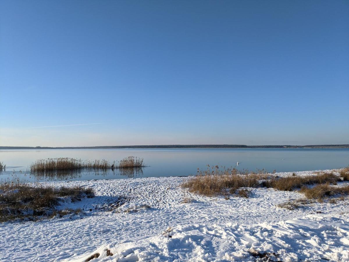 Helenes Ferienwohnung Auf Dem Bauernhof - Lausitzer Seenland Lauta Екстер'єр фото